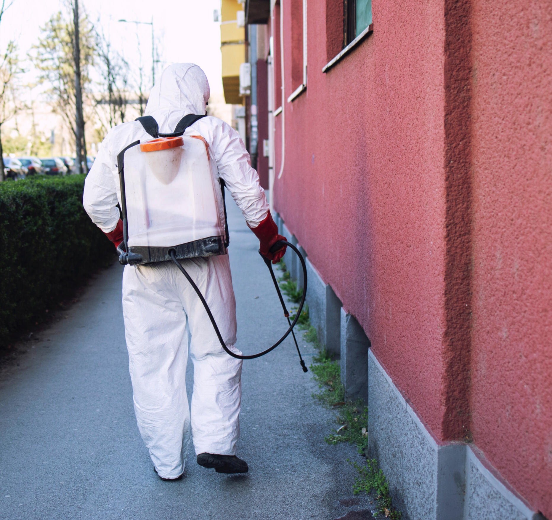 SGB Pest Control Silver Cardiff Takeout Awards 2024